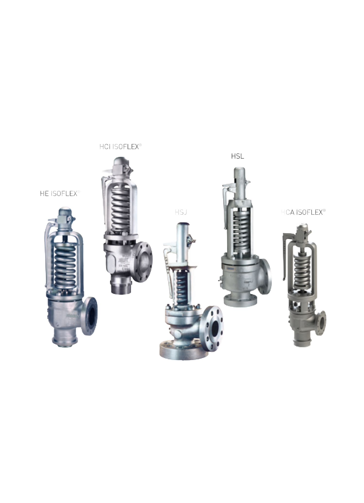 H-SERIES DRIECT SPRNIG SAFETY VALVES